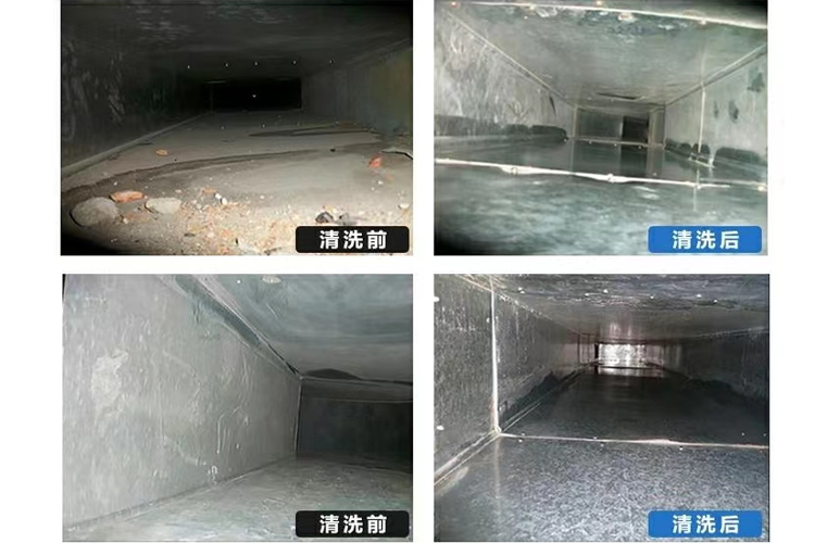 80ba5ff2-063e-4182-bbe1-254d44860066